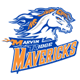 Marvin Ridge High School Logo